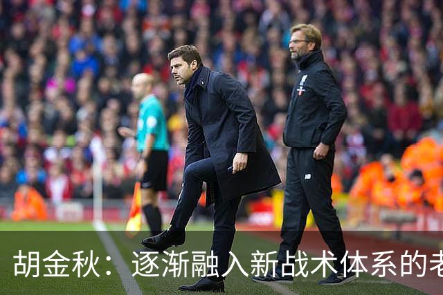胡金秋：逐渐融入新战术体系的老将心声